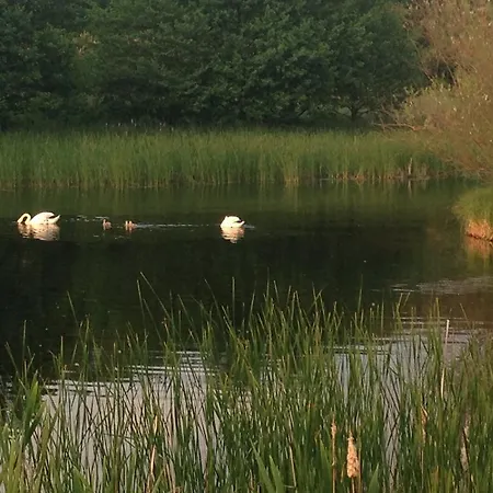 Appartement Apartament Nad Morzem Neptun Park *